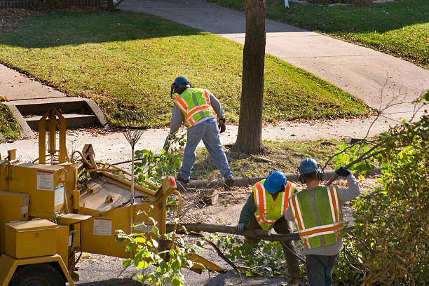 Best Lawn Mowing Services  in Westwood Shores, TX